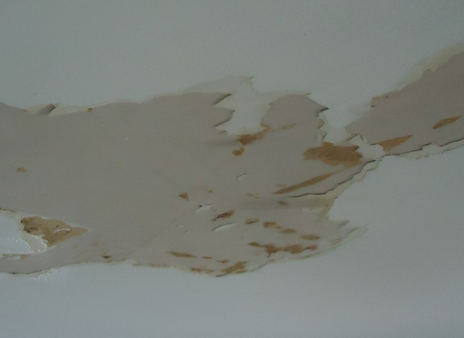 A white residential ceiling with water-damaged drywall and paint peeling away in large patches